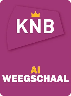 KNB AI scale
